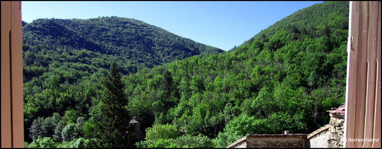 Gîte en Cévennes - Estelle - Arrigas - Le Vigan